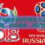 体彩中的世界杯彩票怎么买-解锁乐趣，洞见奇妙，购买世界杯体彩的正确途径