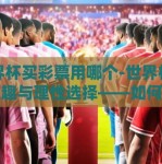 世界杯买彩票用哪个-世界杯竞猜乐趣与理性选择——如何明智地参与世界杯买彩票