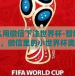 怎么用微信下注世界杯-智趣做球，微信里的小世界杯奥秘
