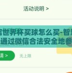 微信世界杯买球怎么买-智慧指南，通过微信合法安全地参与世界杯足球竞猜游戏
