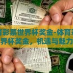 体育彩票世界杯奖金-体育彩票与世界杯奖金，机遇与魅力的交织