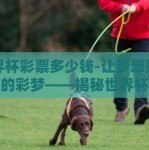 世界杯彩票多少钱-让梦想照进现实的彩梦——揭秘世界杯彩票的魅力与价格