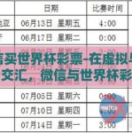 微信买世界杯彩票-在虚拟与激情的交汇，微信与世界杯彩票的奇妙之旅