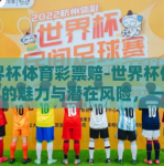 世界杯体育彩票赔-世界杯体育彩票的魅力与潜在风险，一场智慧与运气的较量