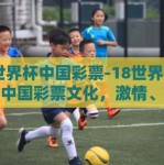 18世界杯中国彩票-18世界杯背后的中国彩票文化，激情、期待与乐观未来