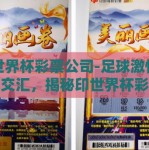 印世界杯彩票公司-足球激情与机遇交汇，揭秘印世界杯彩票公司的多彩画卷