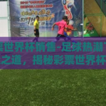 彩票世界杯销售-足球热潮下的财运之道，揭秘彩票世界杯销售的风云变幻