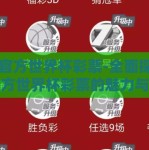 中国官方世界杯彩票-全面探索中国官方世界杯彩票的魅力与前景