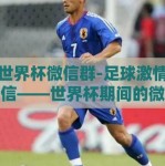 微信世界杯微信群-足球激情，聚在微信——世界杯期间的微信群探秘