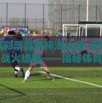 体育彩票世界杯淘汰赛-点燃梦想，战火燎原——揭秘体育彩票世界杯淘汰赛的激情与机遇