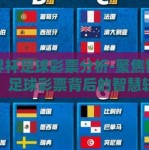 世界杯足球彩票分析-聚焦世界杯，足球彩票背后的智慧较量
