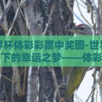 世界杯体彩彩票中奖图-世界杯热潮下的幸运之梦——体彩彩票中奖图鉴