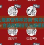 哪儿能买世界杯彩票-购彩需谨慎，合法购票指引与渠道探索