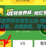微信世界杯彩票怎么玩-微信世界杯彩票，点燃激情，理性投注