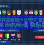 世界杯竞猜的什么软件-世界杯热潮下的智慧选择，揭秘热门竞猜软件