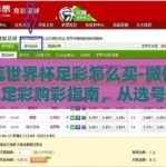 微信世界杯足彩怎么买-微信世界杯足彩购彩指南，从选号到观赛的精彩之旅