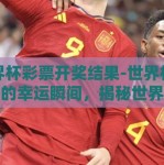 世界杯彩票开奖结果-世界杯狂潮下的幸运瞬间，揭秘世界杯彩票开奖结果