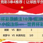 世界杯彩票投注10元-足球盛事，小小投注乐——世界杯彩票10元背后的多彩世界