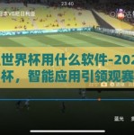 下注世界杯用什么软件-2022年世界杯，智能应用引领观赛新潮流，解读下注平台的正确选择