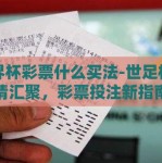 世界杯彩票什么买法-世足杯激情汇聚，彩票投注新指南