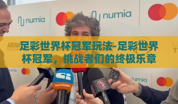 足彩世界杯冠军玩法-足彩世界杯冠军，挑战者们的终极乐章