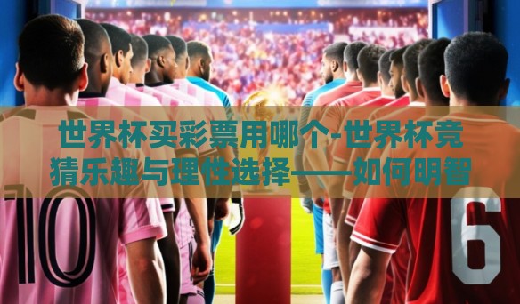 世界杯买彩票用哪个-世界杯竞猜乐趣与理性选择——如何明智地参与世界杯买彩票 世界杯买彩票用哪个-世界杯竞猜乐趣与理性选择——如何明智地参与世界杯买彩票