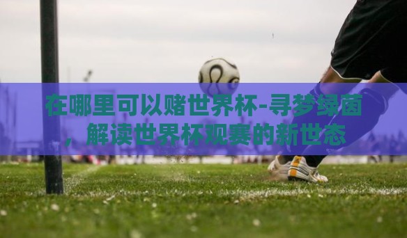 在哪里可以赌世界杯-寻梦绿茵，解读世界杯观赛的新世态