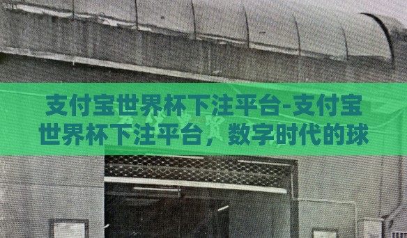 支付宝世界杯下注平台-支付宝世界杯下注平台,数字时代的球迷新选择 支付宝世界杯下注平台-支付宝世界杯下注平台,数字时代的球迷新选择