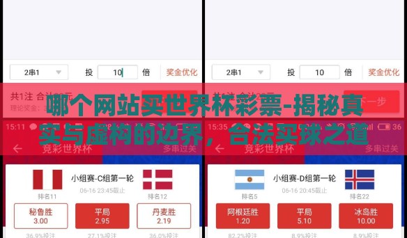 哪个网站买世界杯彩票-揭秘真实与虚构的边界，合法买球之道