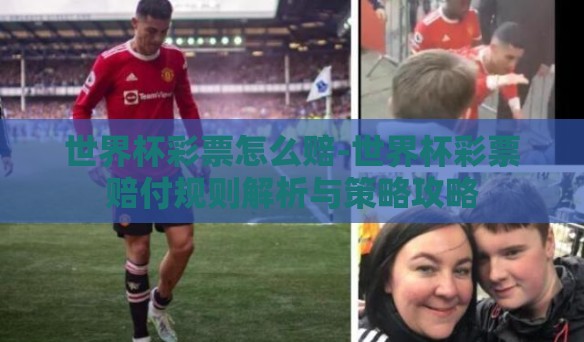 世界杯彩票怎么赔-世界杯彩票赔付规则解析与策略攻略 世界杯彩票怎么赔-世界杯彩票赔付规则解析与策略攻略