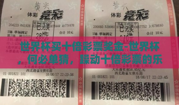 世界杯买十倍彩票奖金-世界杯，何必单猜，躁动十倍彩票的乐趣与风险
