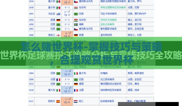 怎么赌世界杯-掌握技巧与策略，合理观赏世界杯
