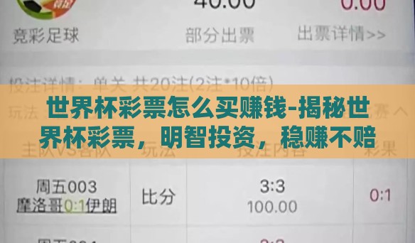 世界杯彩票怎么买赚钱-揭秘世界杯彩票，明智投资，稳赚不赔的秘诀