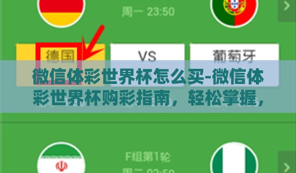 微信体彩世界杯怎么买-微信体彩世界杯购彩指南，轻松掌握，乐趣无限