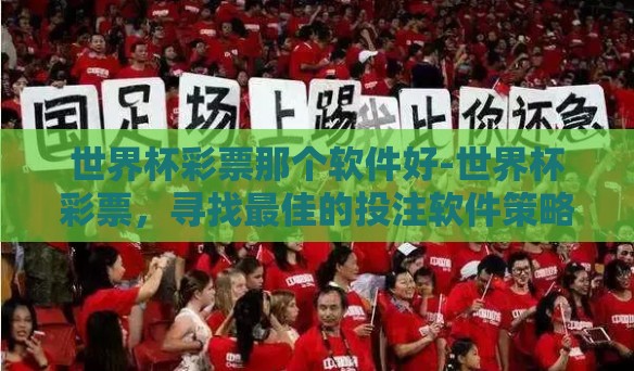 世界杯彩票那个软件好-世界杯彩票，寻找最佳的投注软件策略探索