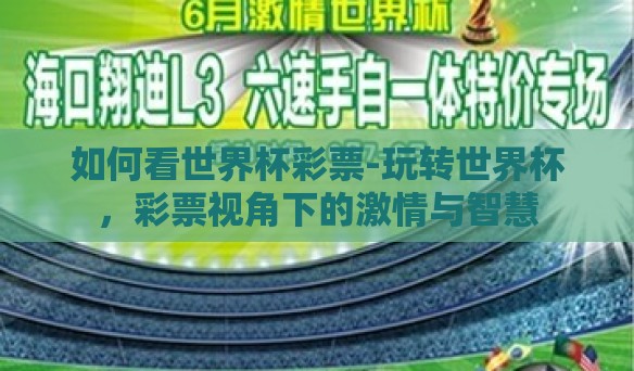 如何看世界杯彩票-玩转世界杯，彩票视角下的激情与智慧