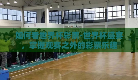 如何看世界杯彩票-世界杯盛宴，掌握观赛之外的彩票乐趣