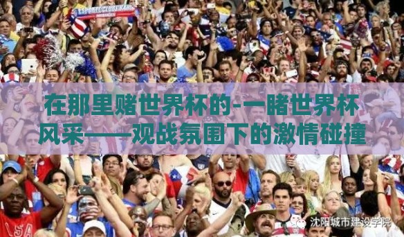 在那里赌世界杯的-一睹世界杯风采——观战氛围下的激情碰撞与理性选择