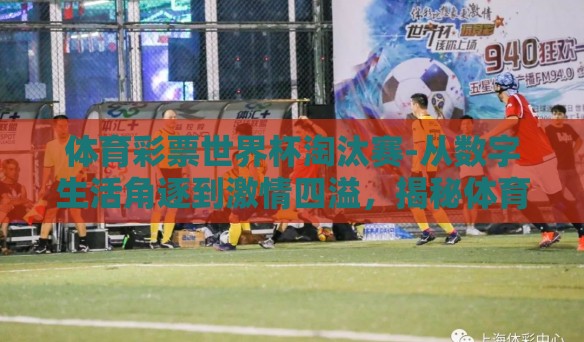 体育彩票世界杯淘汰赛-从数字生活角逐到激情四溢，揭秘体育彩票世界杯淘汰赛的独特魅力