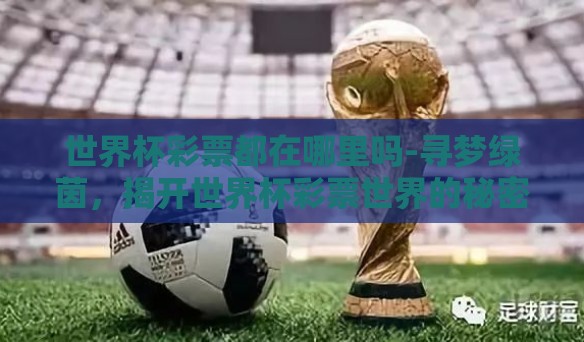 世界杯彩票都在哪里吗-寻梦绿茵，揭开世界杯彩票世界的秘密