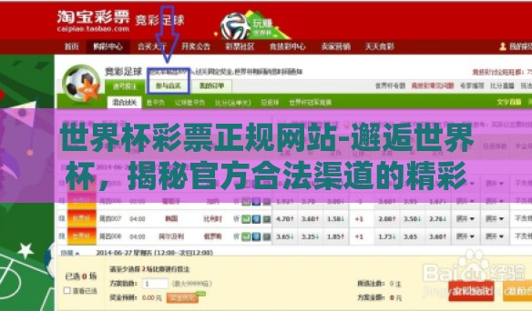 世界杯彩票正规网站-邂逅世界杯，揭秘官方合法渠道的精彩