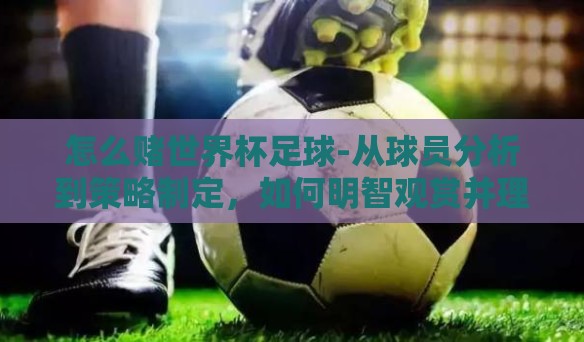 怎么赌世界杯足球-从球员分析到策略制定,如何明智观赏并理性参与世界杯足球竞猜 怎么赌世界杯足球-从球员分析到策略制定,如何明智观赏并理性参与世界杯足球竞猜