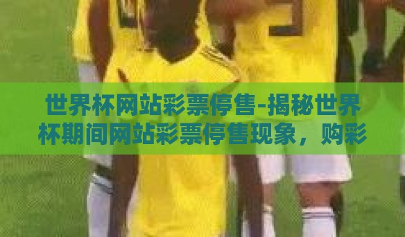 世界杯网站彩票停售-揭秘世界杯期间网站彩票停售现象，购彩者、平台的双面镜像