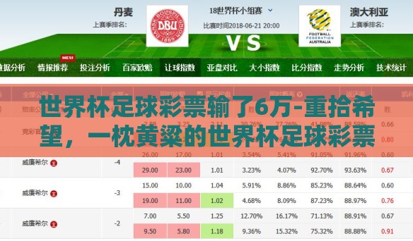 世界杯足球彩票输了6万-重拾希望，一枕黄粱的世界杯足球彩票之旅