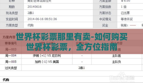 世界杯彩票那里有卖-如何购买世界杯彩票，全方位指南
