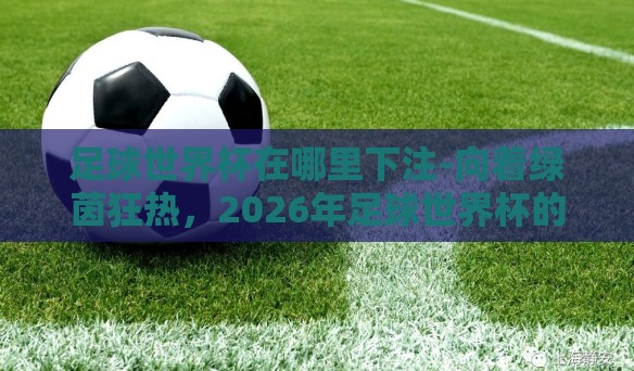 足球世界杯在哪里下注-向着绿茵狂热,2026年足球世界杯的全球热潮与理智投注指南 足球世界杯在哪里下注-向着绿茵狂热,2026年足球世界杯的全球热潮与理智投注指南
