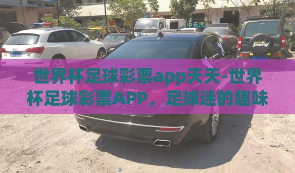 世界杯足球彩票app天天-世界杯足球彩票APP，足球迷的趣味与惊喜