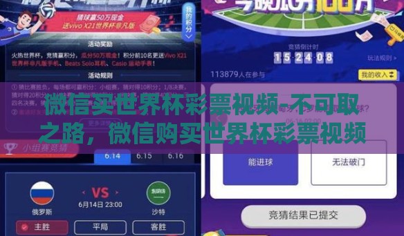 微信买世界杯彩票视频-不可取之路，微信购买世界杯彩票视频的背后故事