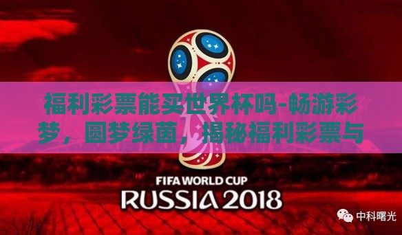 福利彩票能买世界杯吗-畅游彩梦，圆梦绿茵，揭秘福利彩票与世界杯的梦幻邂逅