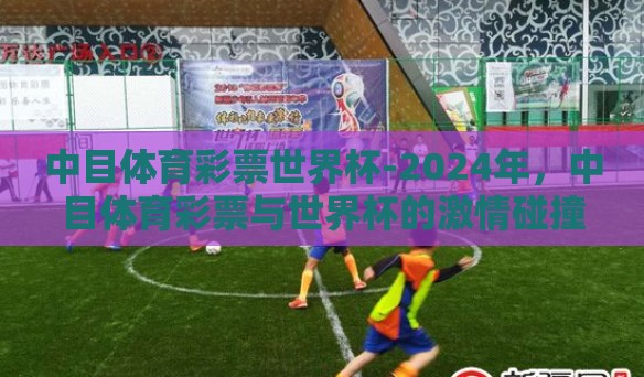 中目体育彩票世界杯-2024年，中目体育彩票与世界杯的激情碰撞